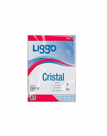 FOLIO LIGGO ESCOLAR CRISTAL 40MIC. X 100U. (370-0120)