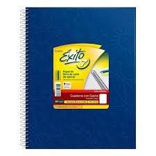 CUADERNO ÉXITO 21X27 COLEGIAL FORRADO X100 H V/COLORES CUADRICULADO (101986)