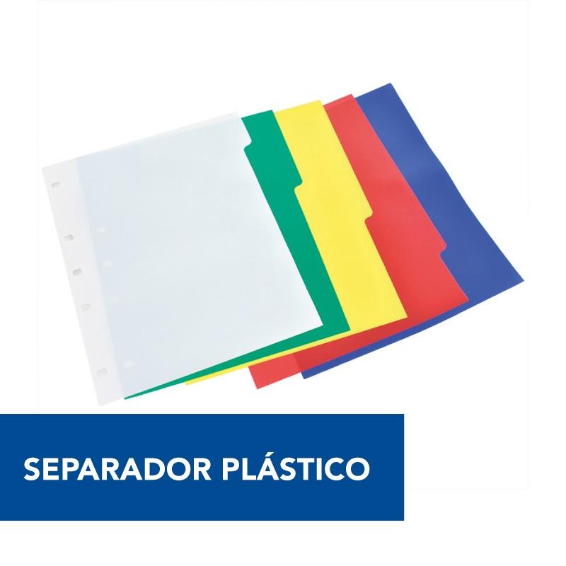 SEPARADOR HASENAUER PLASTICO 5 POSICIONES ESCOLAR (F14-X01)
