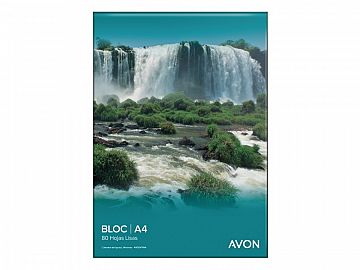 BLOCK LEDESMA AVON A4 PEG X80H. LISO (100024)