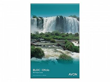 BLOCK LEDESMA AVON OFICIO PEG X80H. LISO (100025)
)