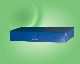 CAJA DE ARCHIVO FIBRACAP 5CM F/COL.C/ELAST (100241)