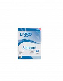 FOLIO LIGGO ESCOLAR STANDARD X 100U. (360-0120)