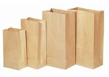 BOLSA KRAFT MARRON FM3 125X80X240  X10U C/U.