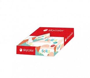 GOMA DE BORRAR SKYCOLOR LAPIZ X30U (JJ30301B)