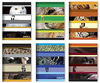 CUADERNO AMERICA T/F X24H RAYADO (237611)